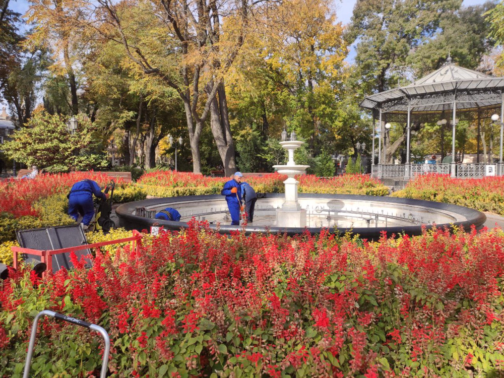 1006 image for slide