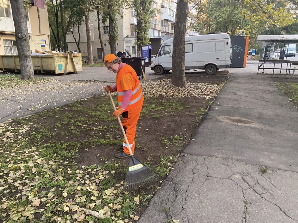 1038 image for slide