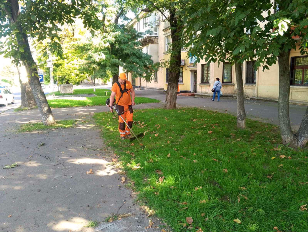 1045 image for slide