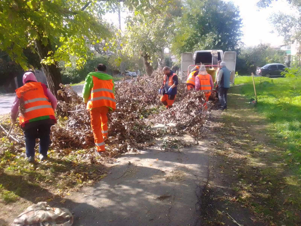 1049 image for slide