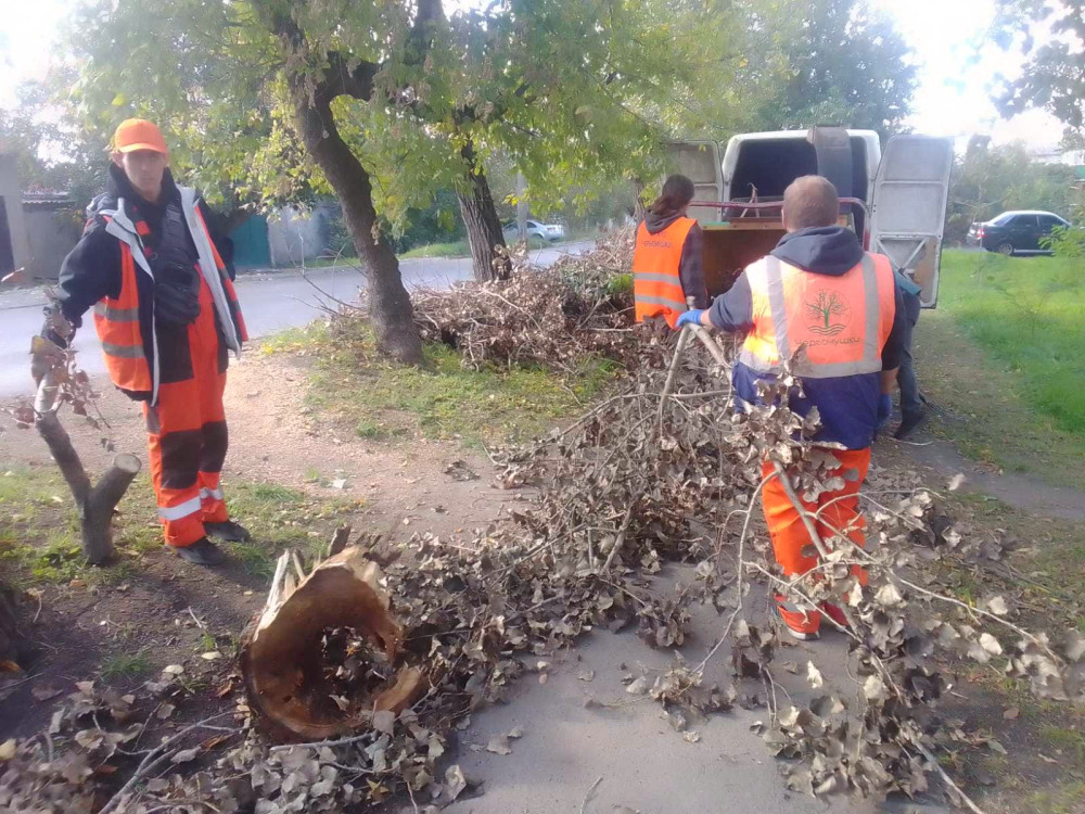 1051 image for slide