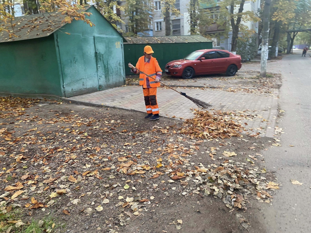 1054 image for slide