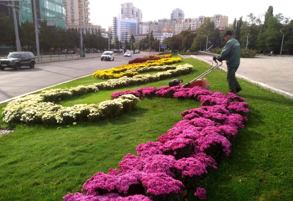 1153 image for slide