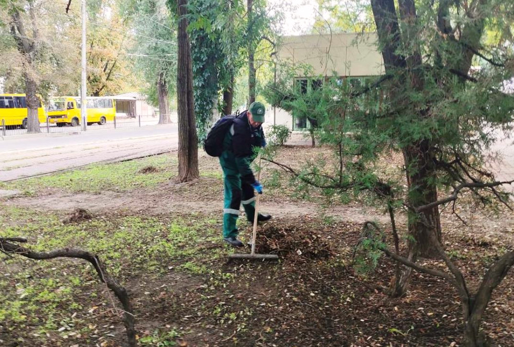 1154 image for slide