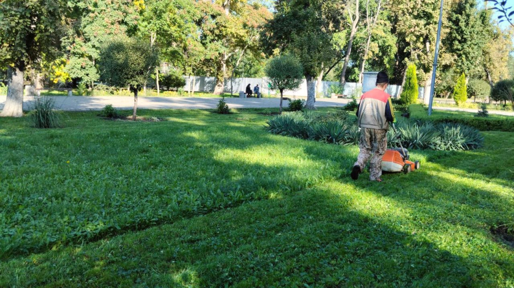 1155 image for slide