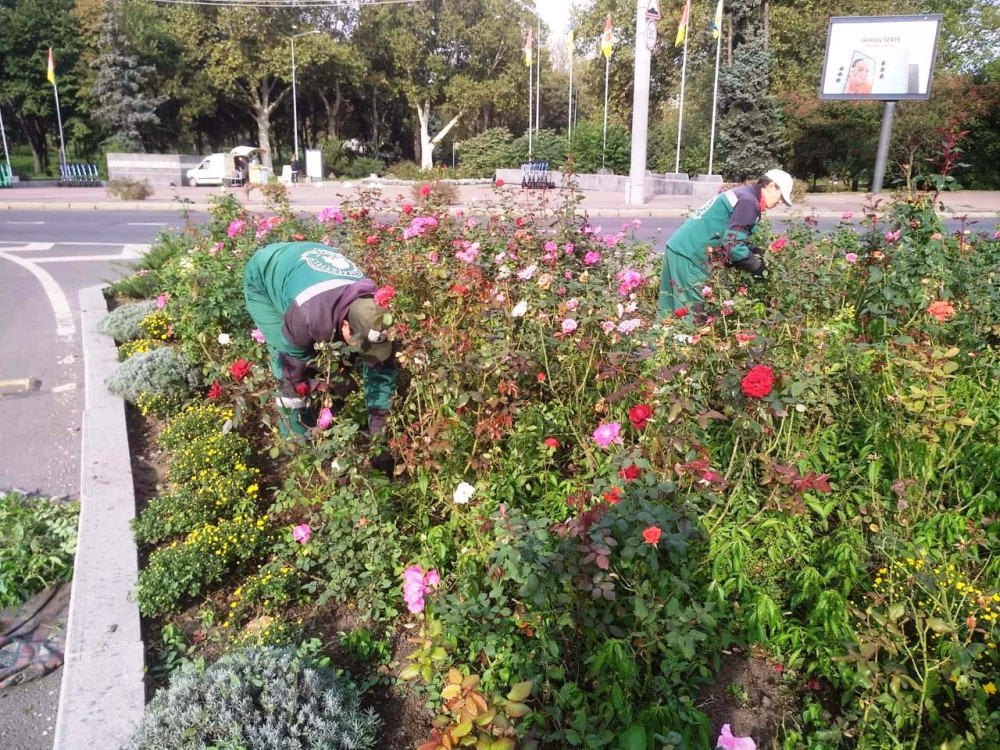 1156 image for slide