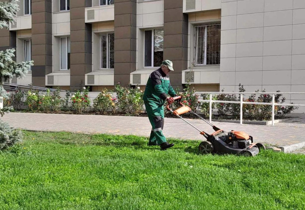 1157 image for slide