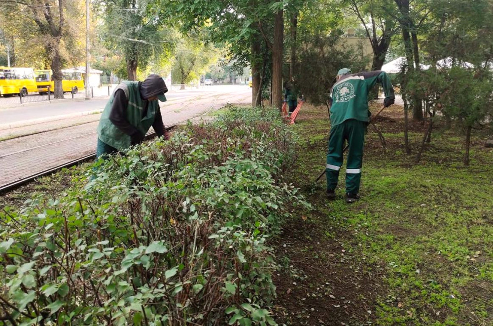 1158 image for slide