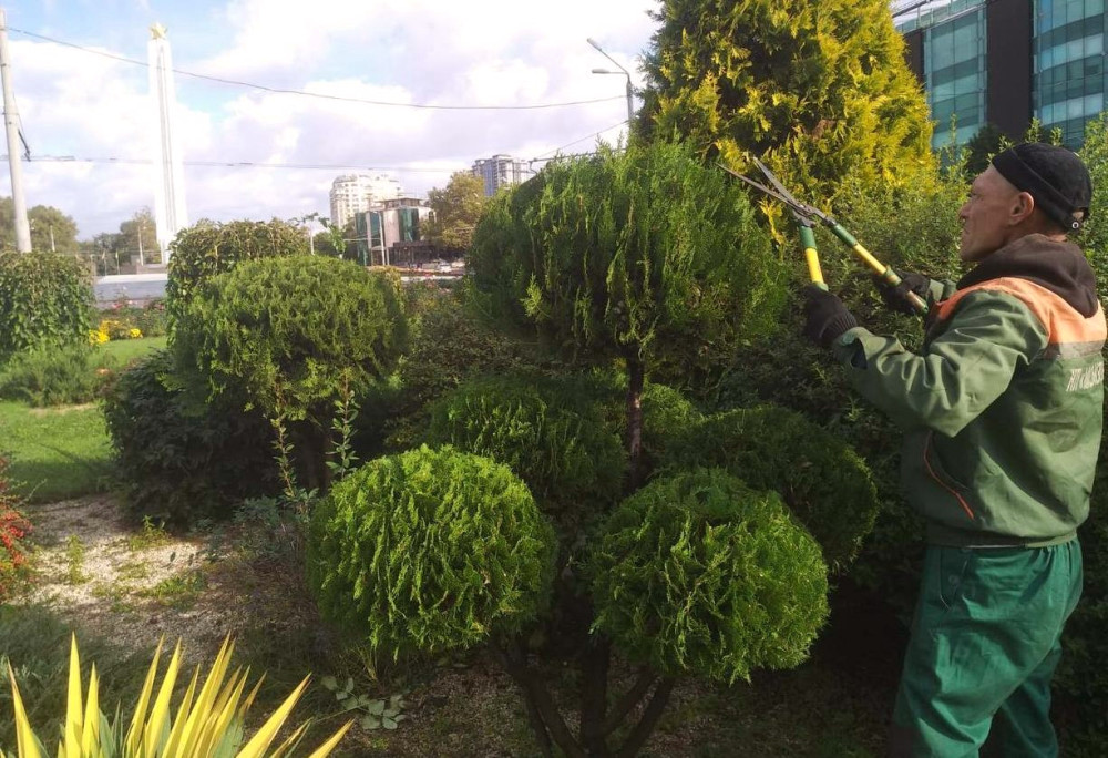 1159 image for slide