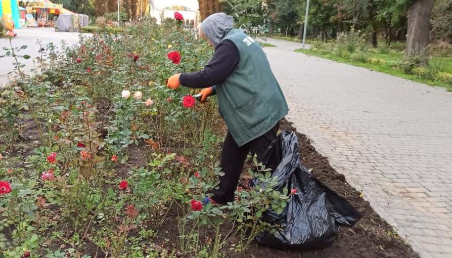 1160 image for slide