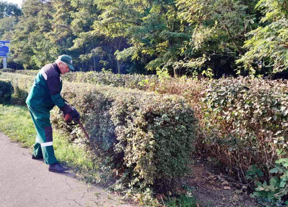 1161 image for slide