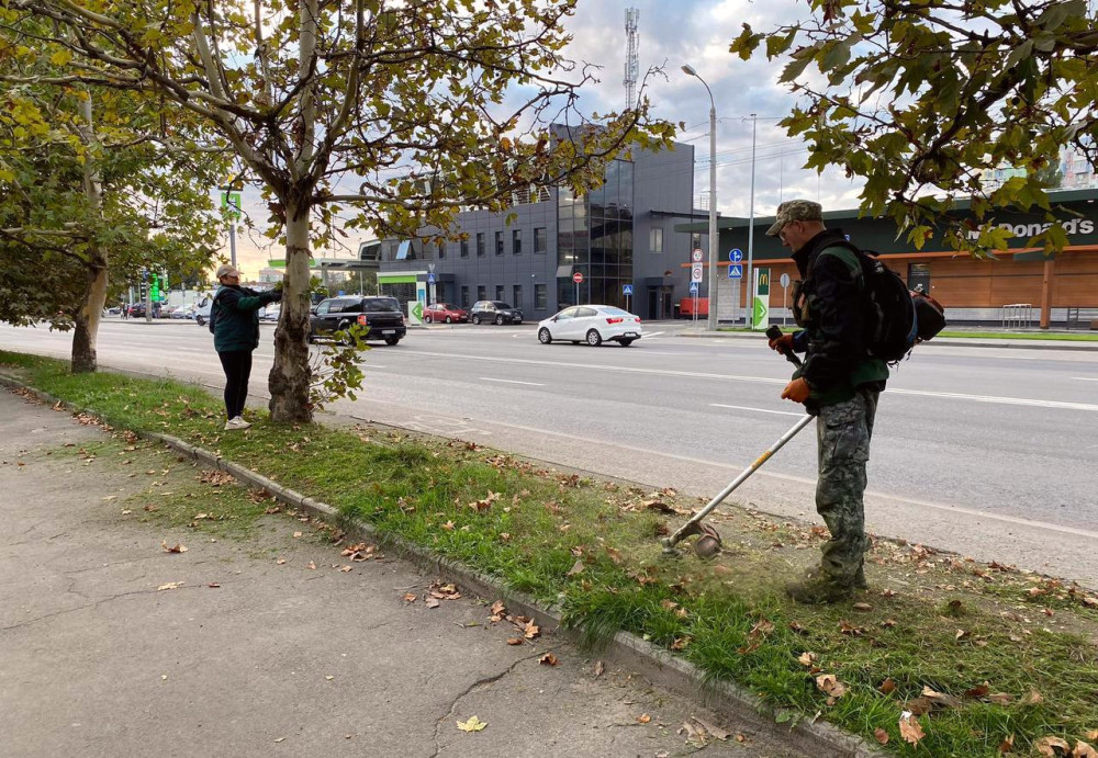 1162 image for slide