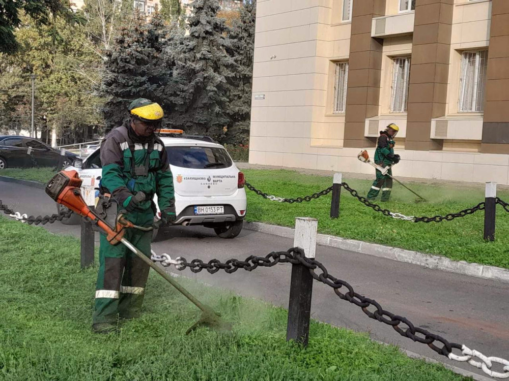 1163 image for slide