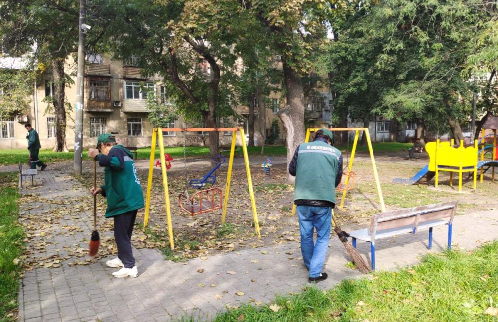 1165 image for slide