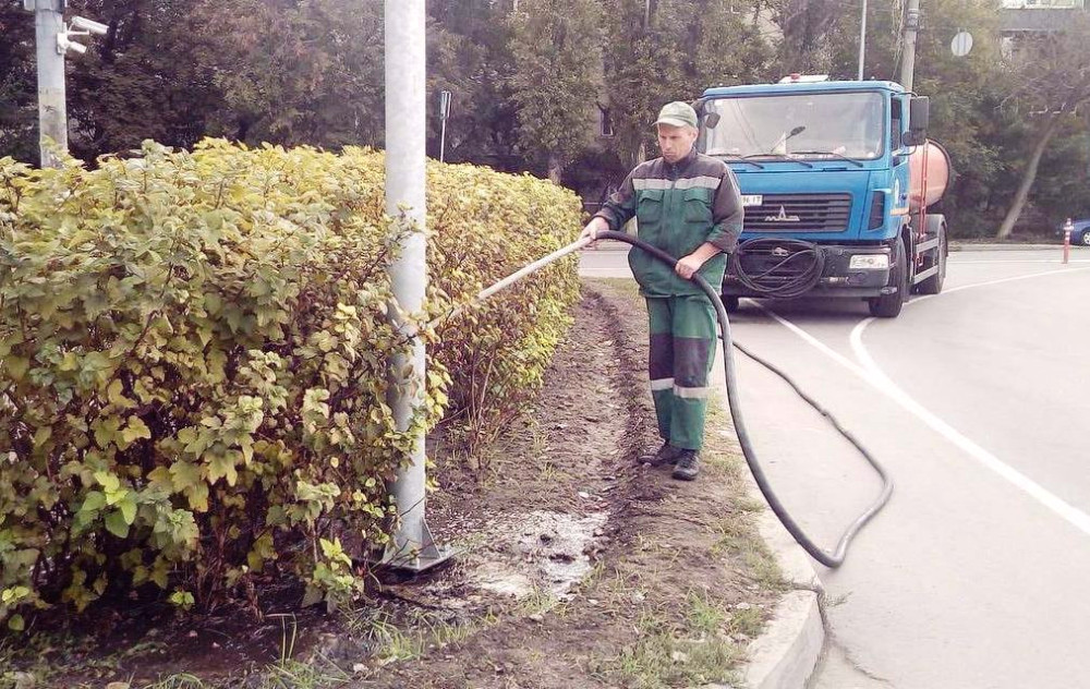 1166 image for slide