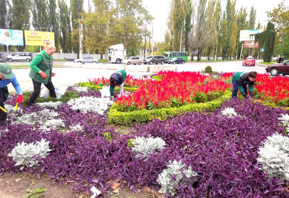 1169 image for slide