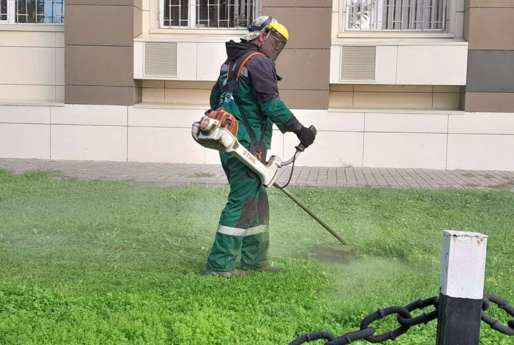 1172 image for slide