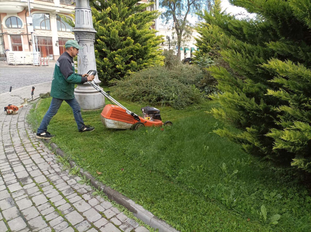 1173 image for slide