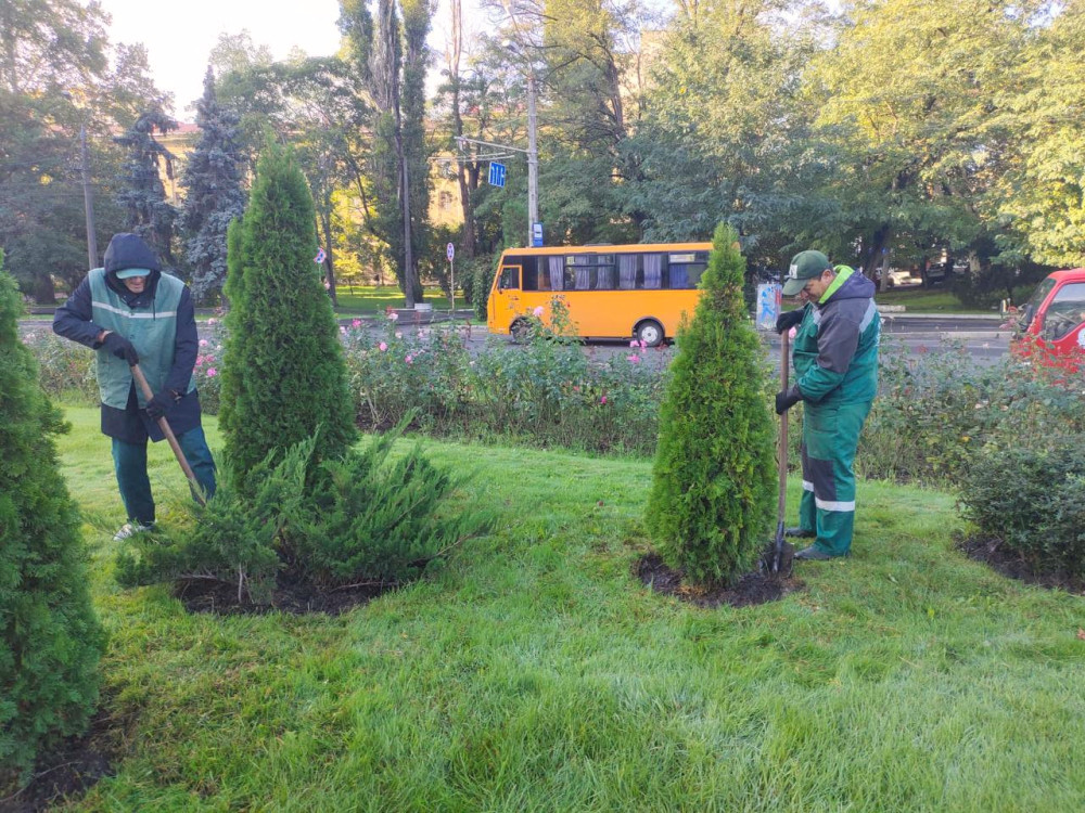 1174 image for slide