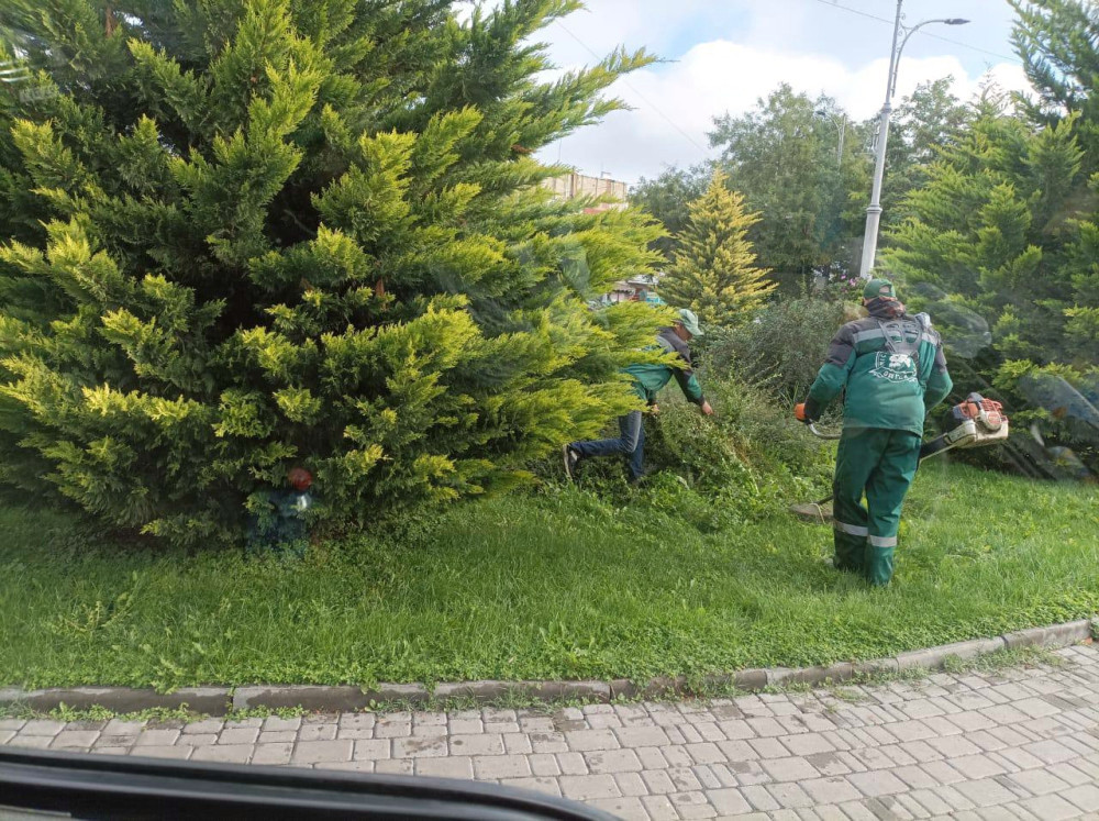 1175 image for slide