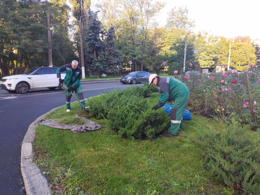 1177 image for slide