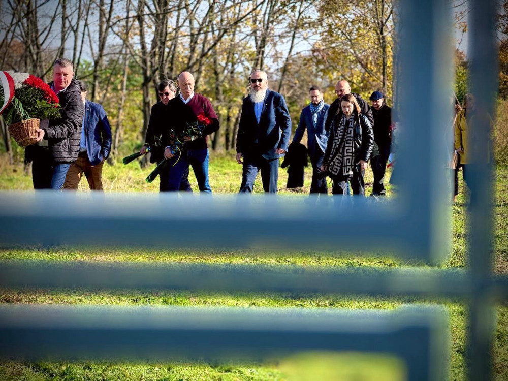 1563 image for slide