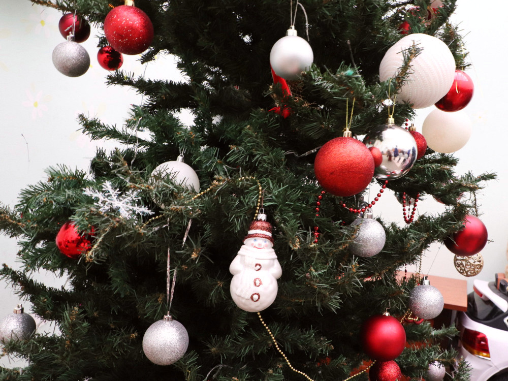 1596 image for slide