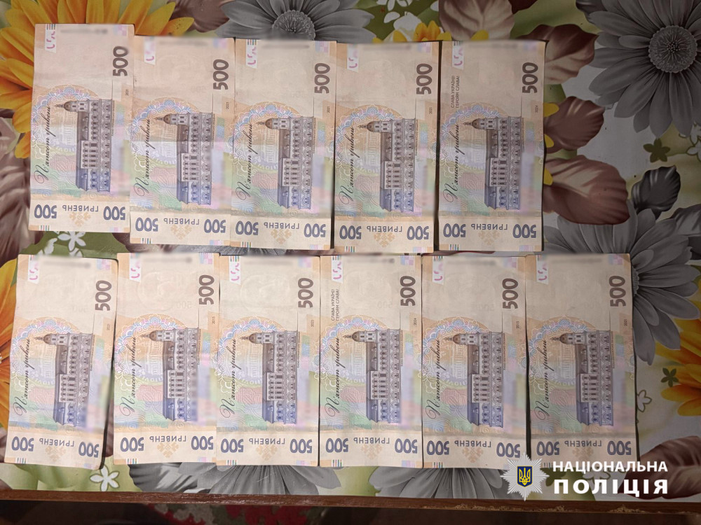 2952 image for slide