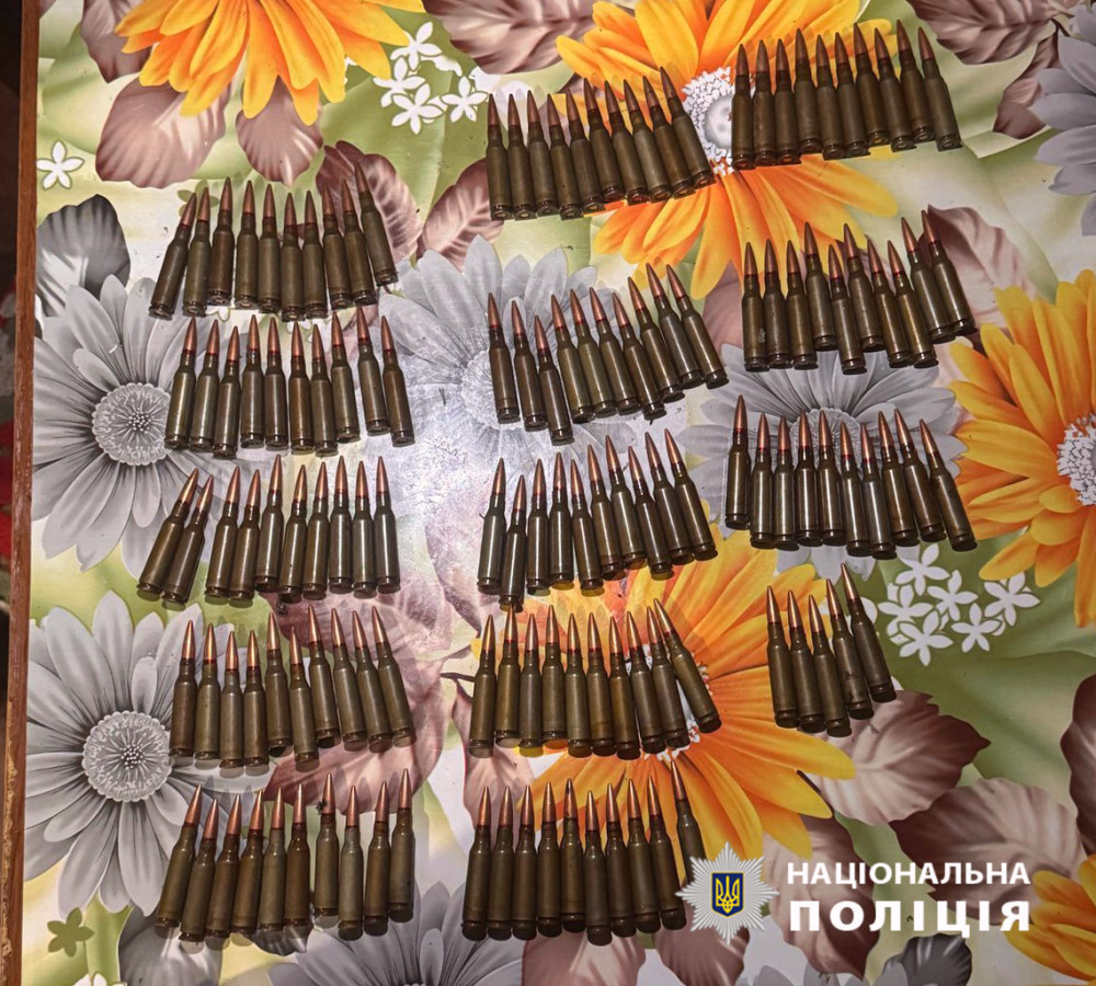 2954 image for slide