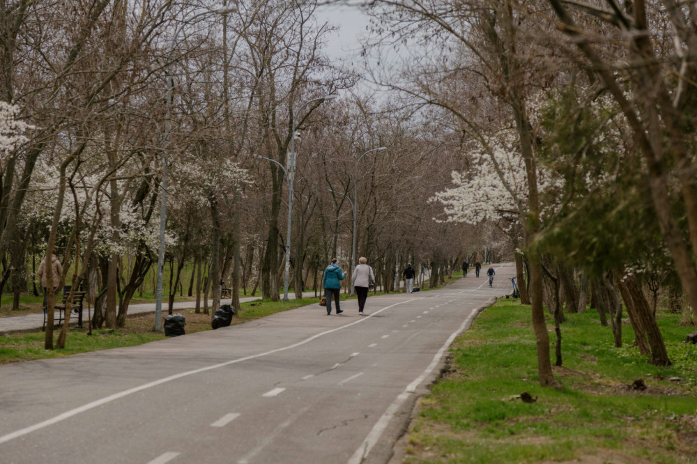 3087 image for slide