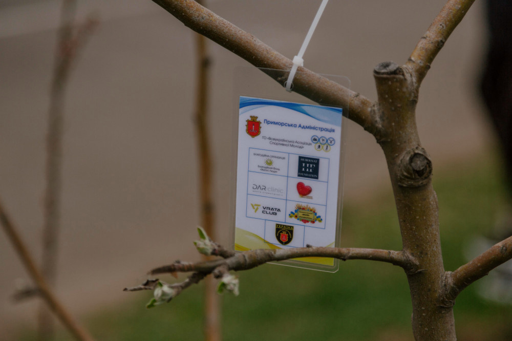 3088 image for slide