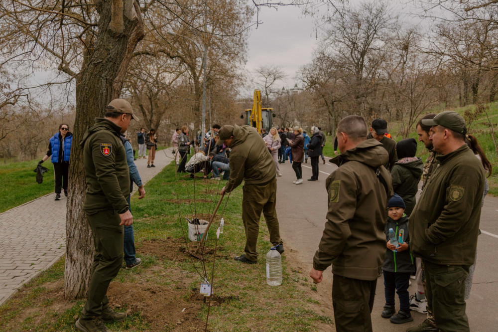 3089 image for slide