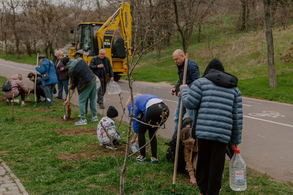 3091 image for slide