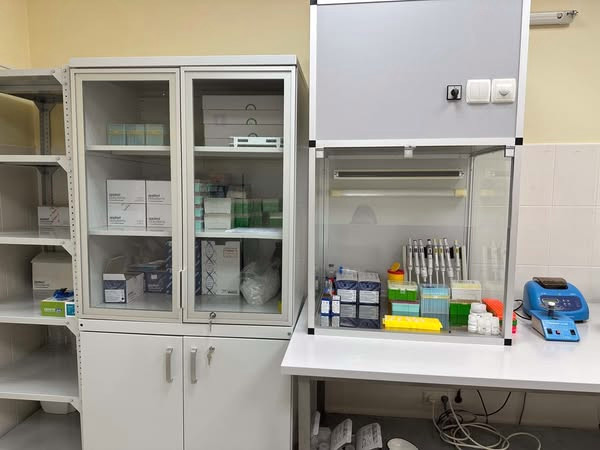 3330 image for slide