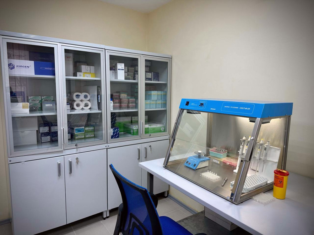 3331 image for slide