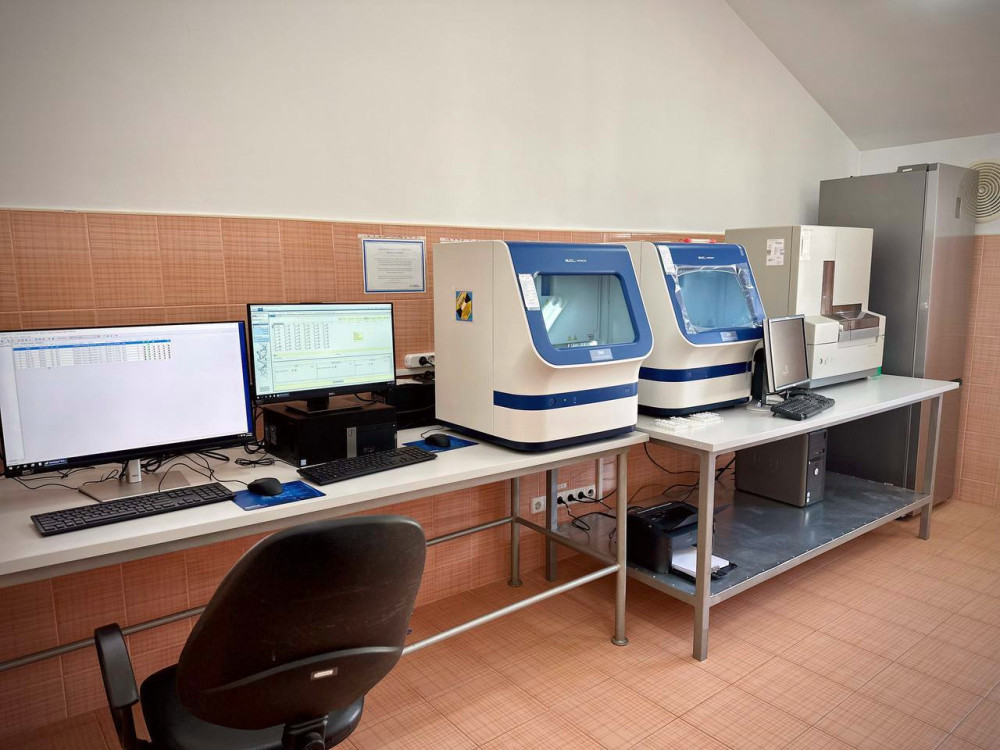 3333 image for slide