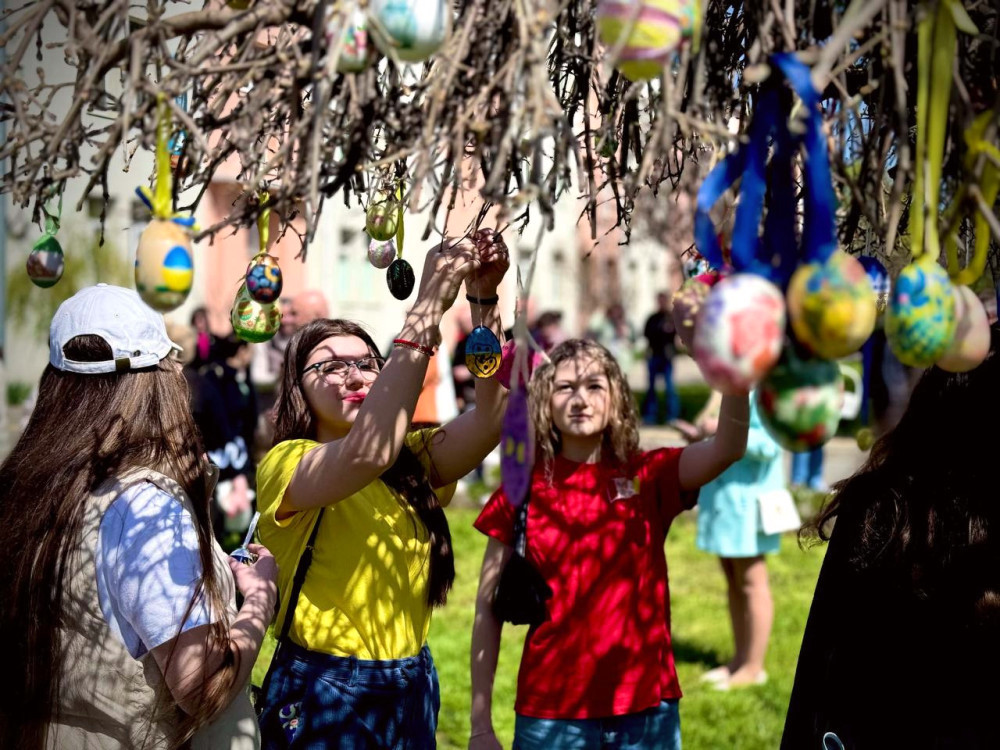 3341 image for slide