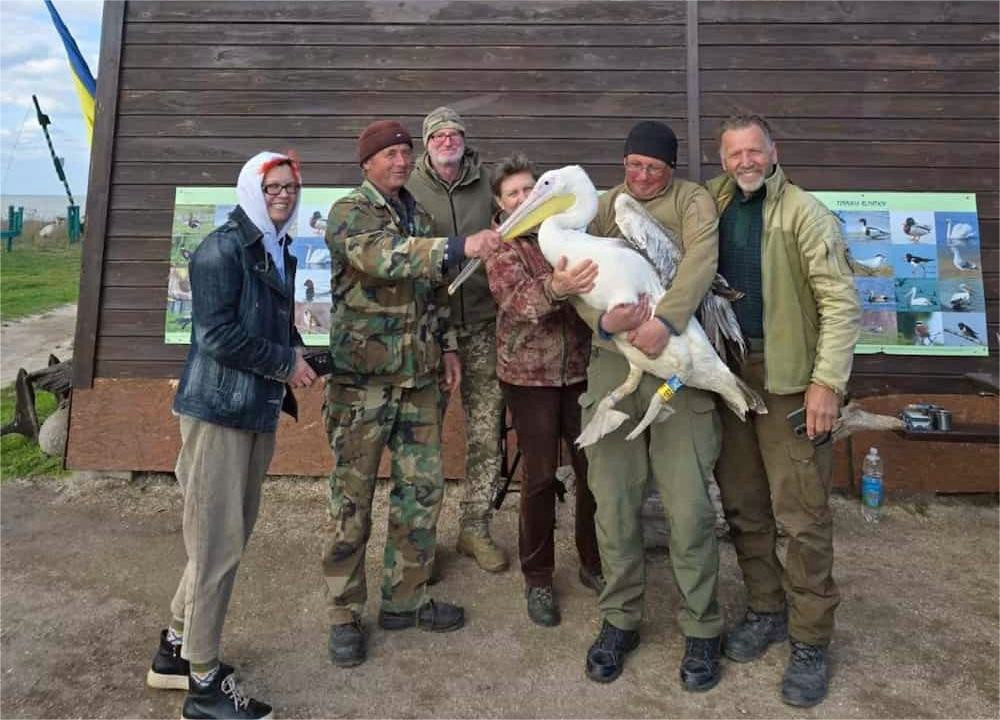 3348 image for slide