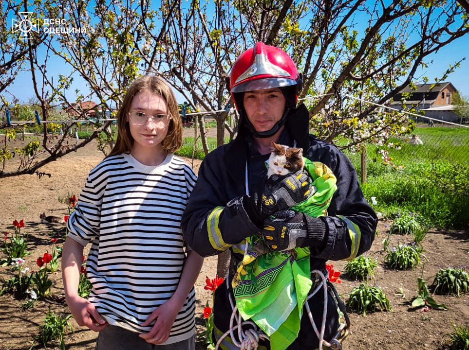 3419 image for slide