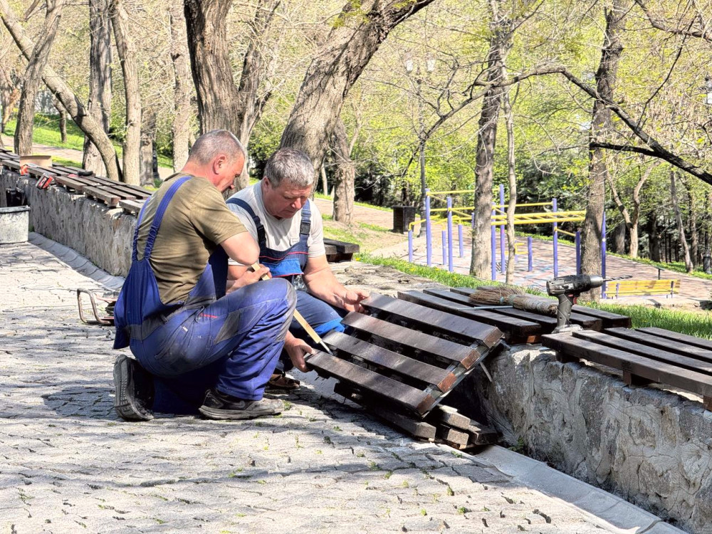 3425 image for slide