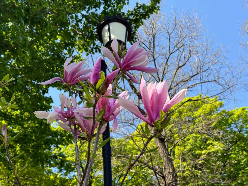 3426 image for slide