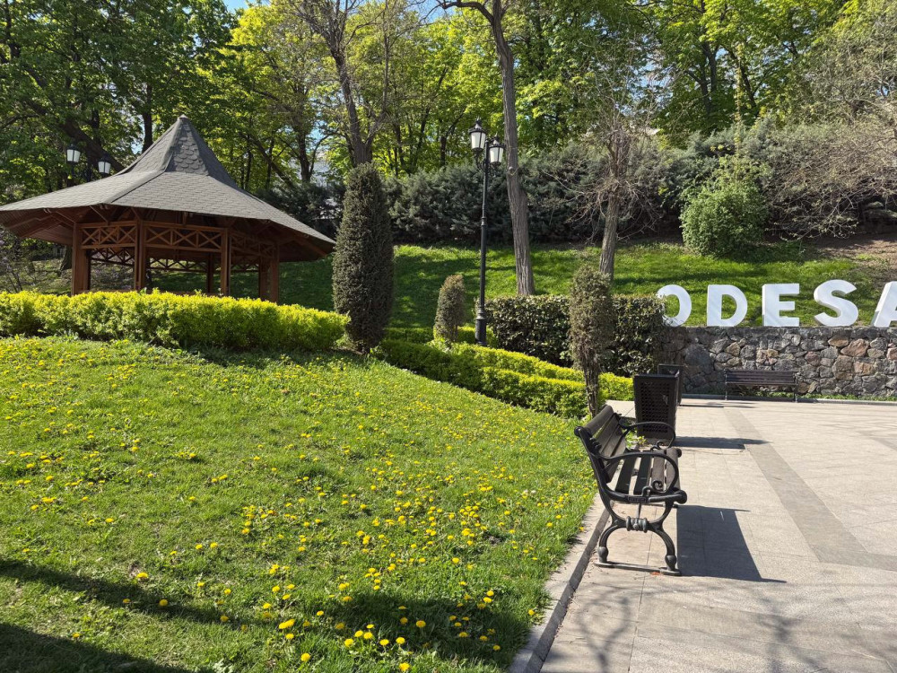 3429 image for slide