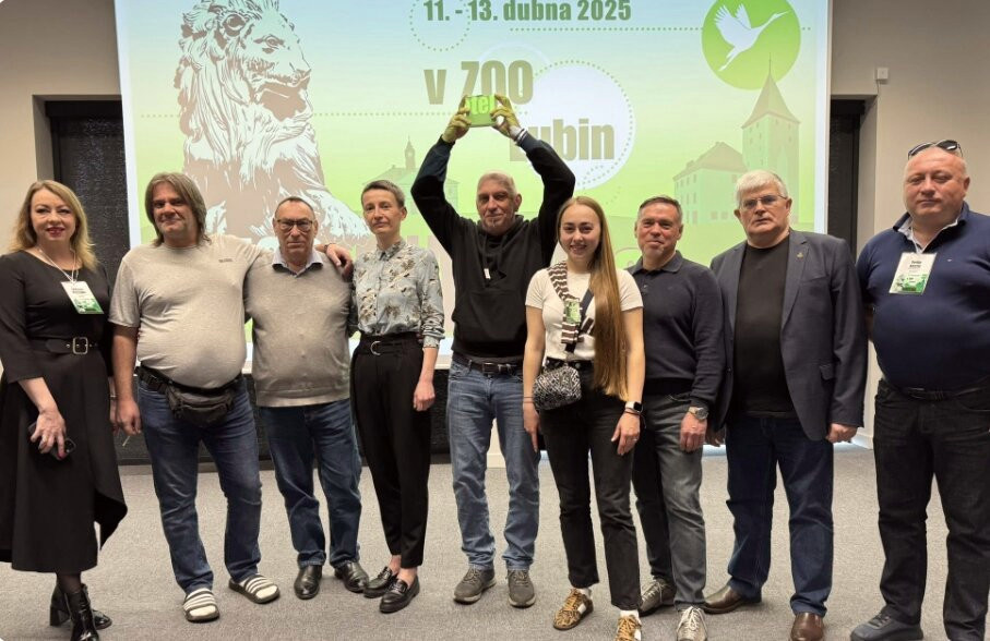 3471 image for slide