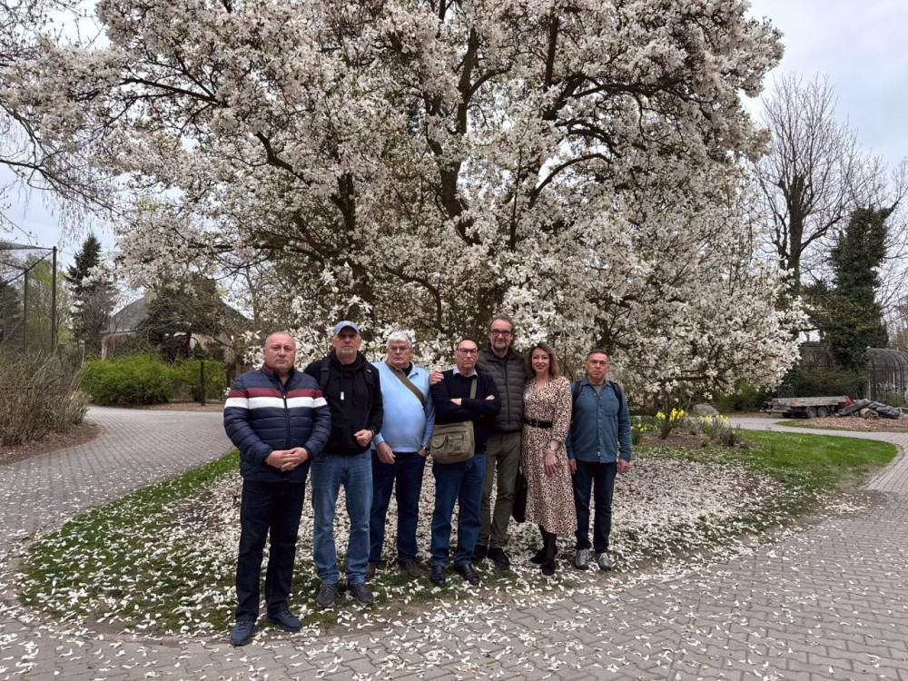 3474 image for slide