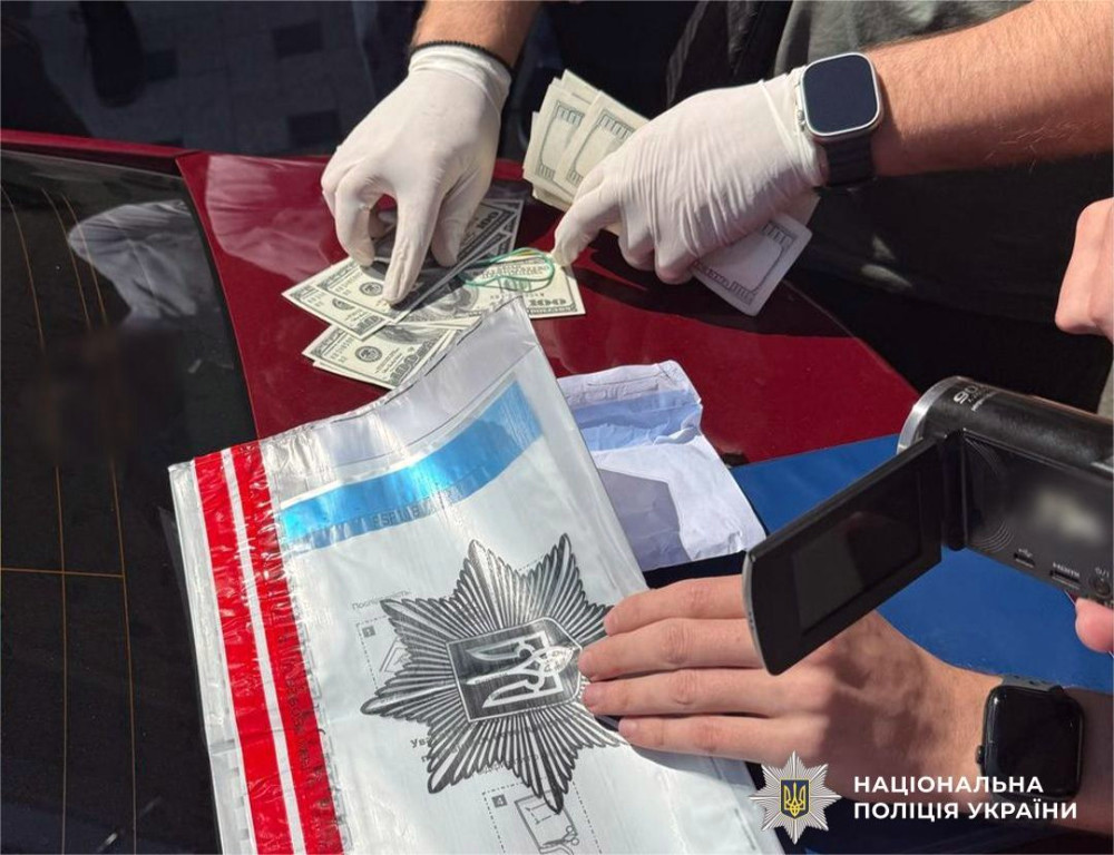 3543 image for slide