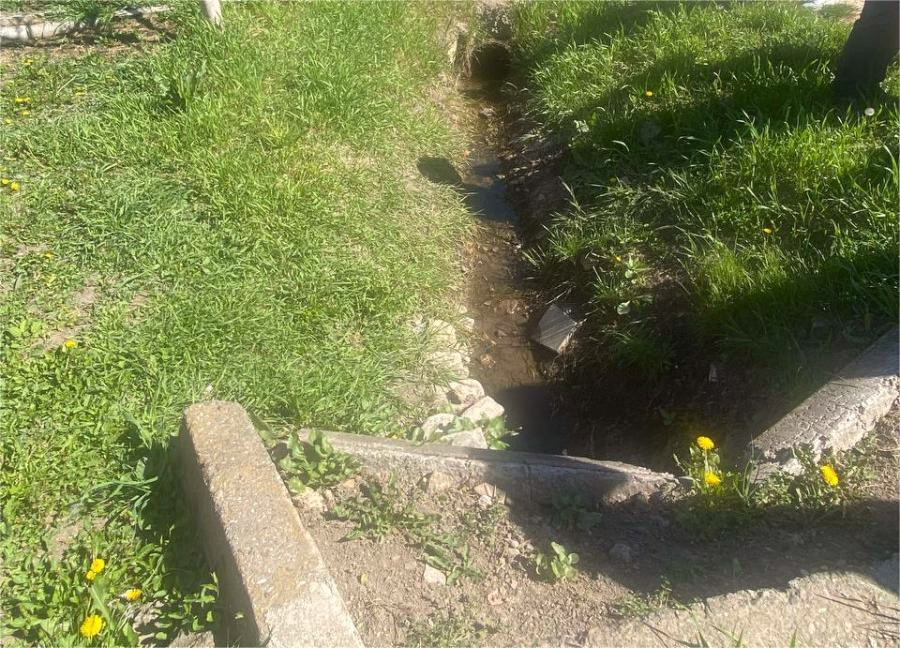 3614 image for slide