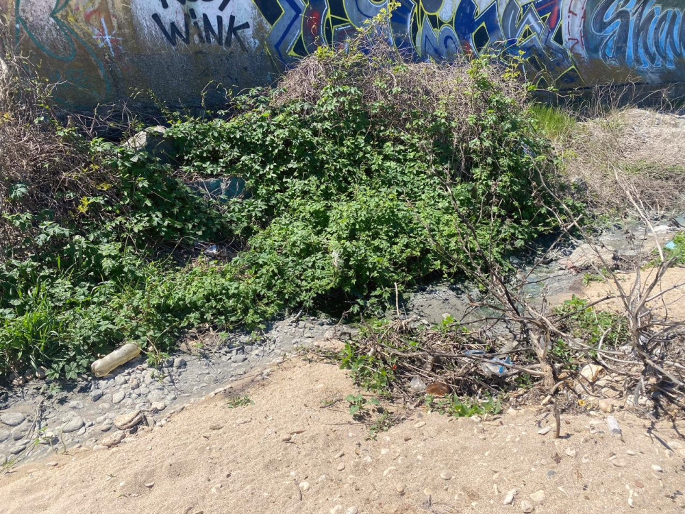 3615 image for slide