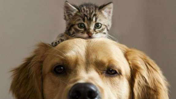 3733 image for slide