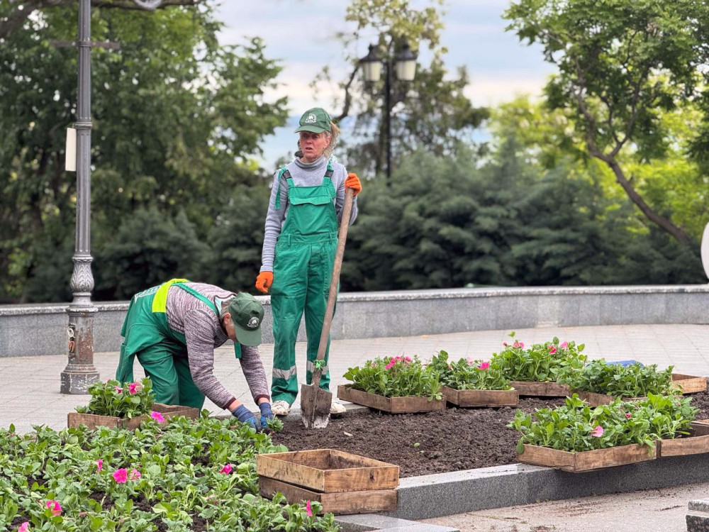 3935 image for slide