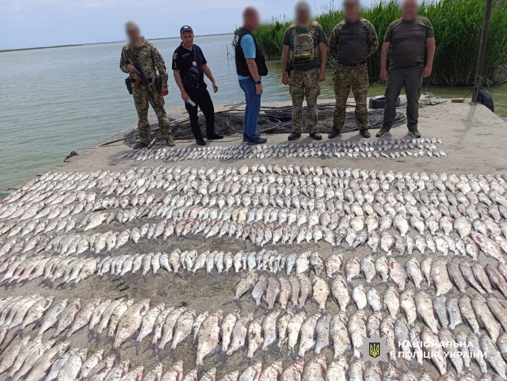 3960 image for slide